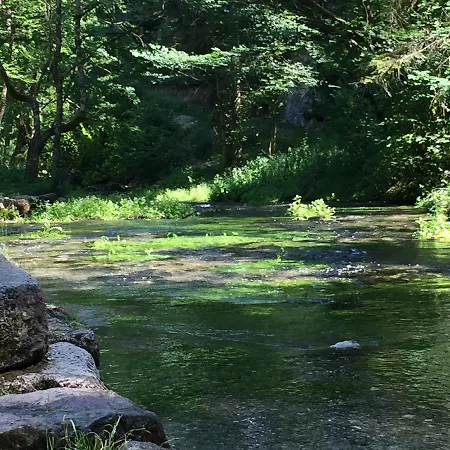 Affittacamere Gaestehaus Marion 3*